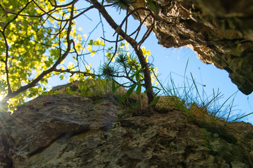 Wohlfühlort - foto 23