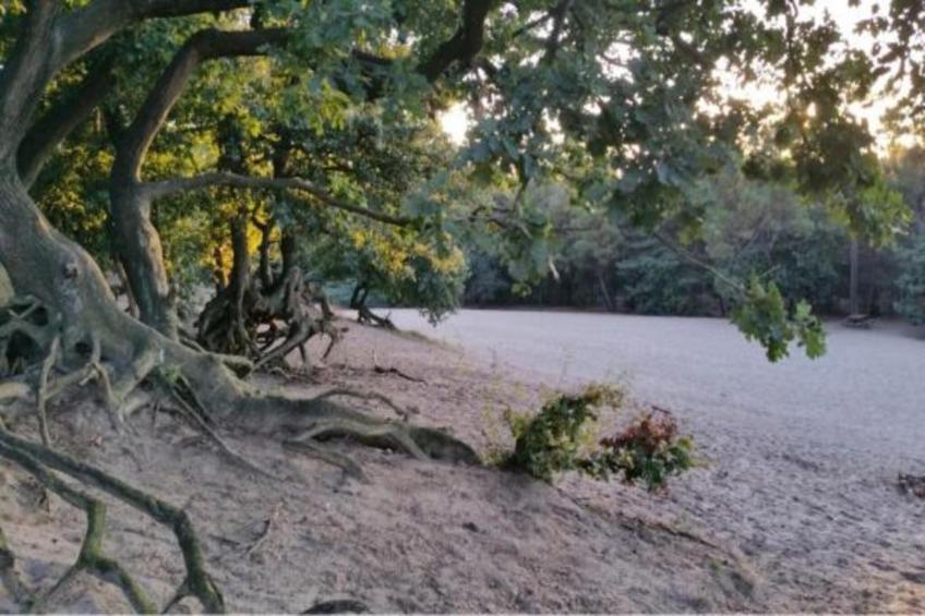 Vakantiepark De Pier 10 - foto 37