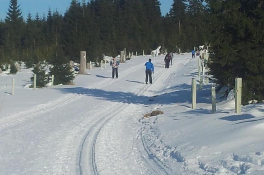 Fewo "Henneberg" - foto 8