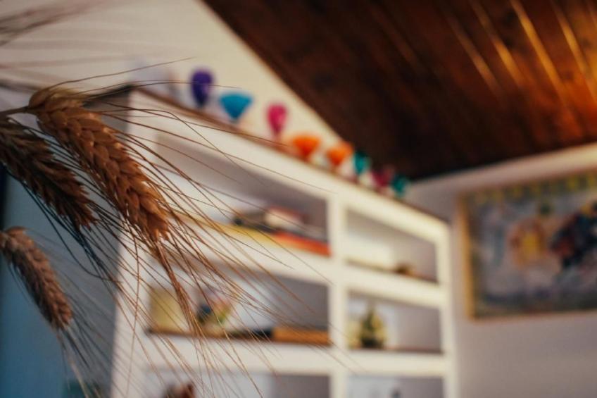 OWL Apartment - Pool - Ansichten - Kunst - foto 28