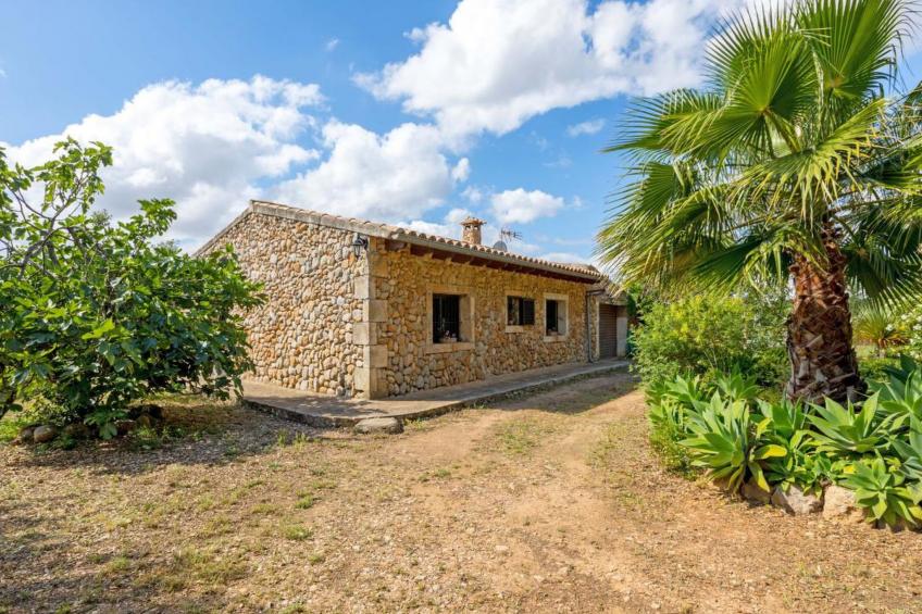 Higuera - foto 4