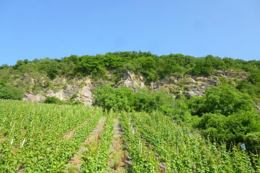 Moselschiefer-Traumferienwohnung am Moselufer - foto 46