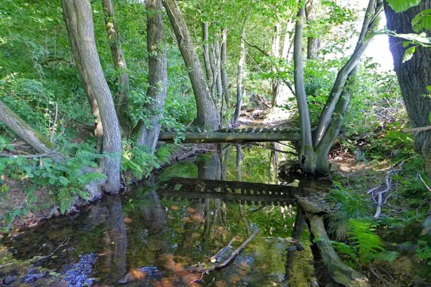 Am Ferienhof - foto 27