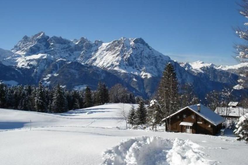 Ferien im grünen rechts - foto 3