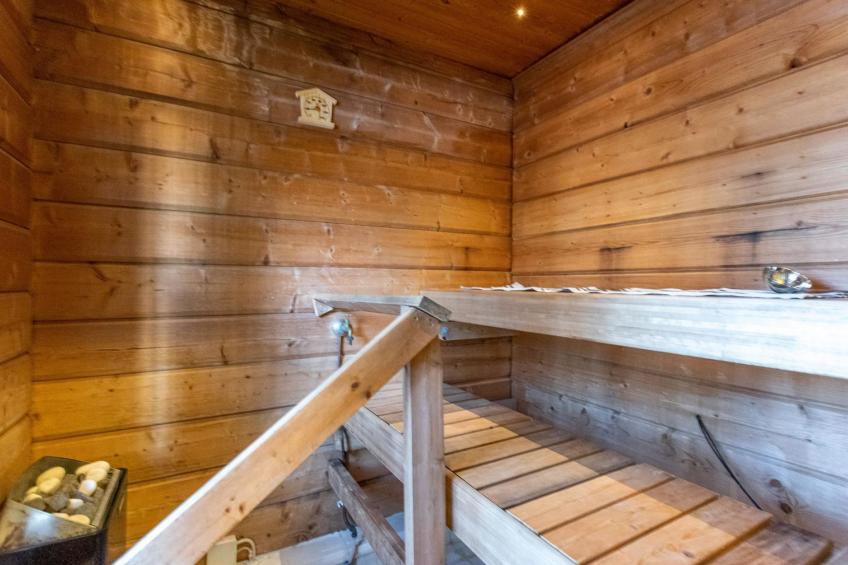 Näsinjoutsen - foto 14