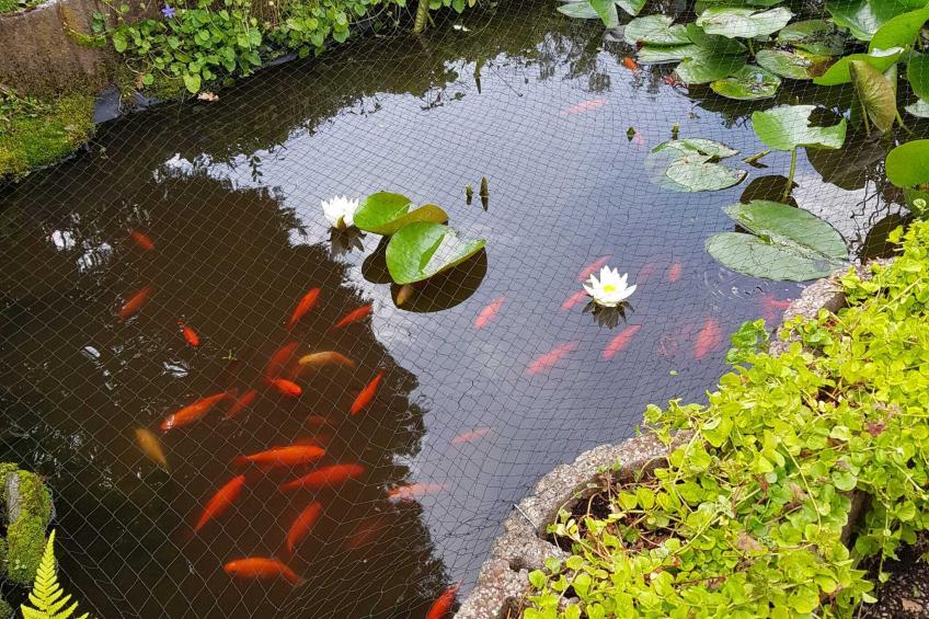 Bungalow Sonnerust - foto 25