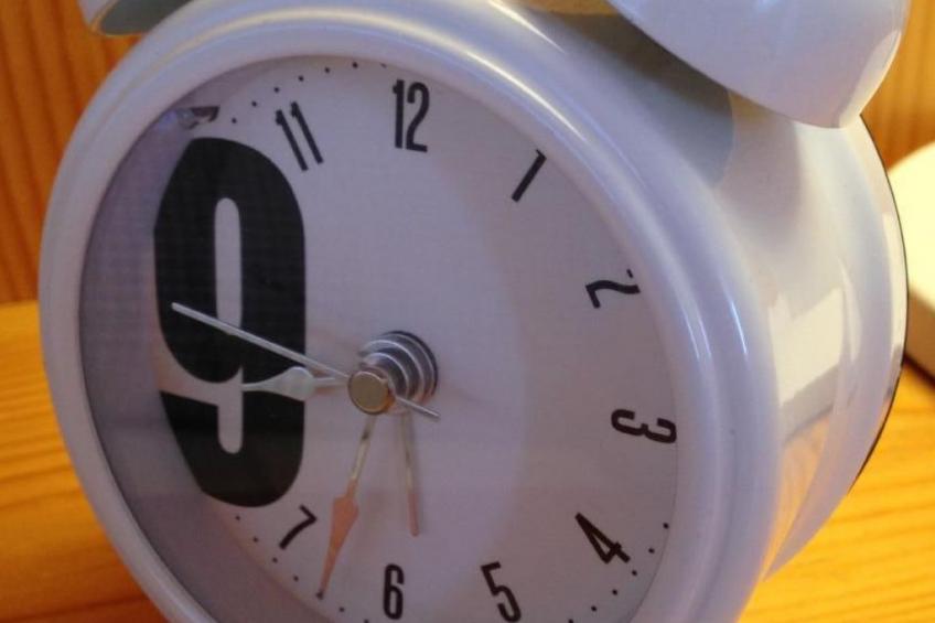 im Haus Chistasteggli - foto 13