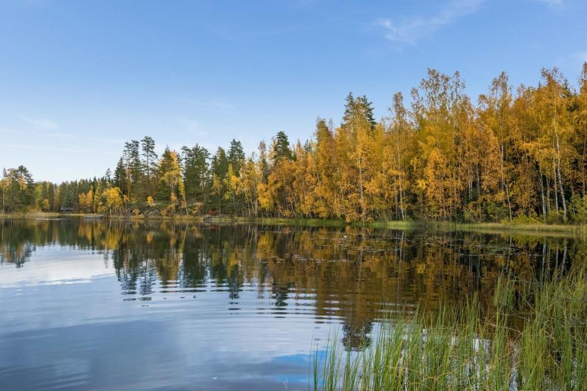 Harrila - foto 26