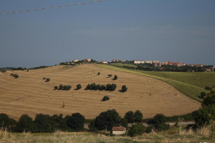 Vino - foto 23