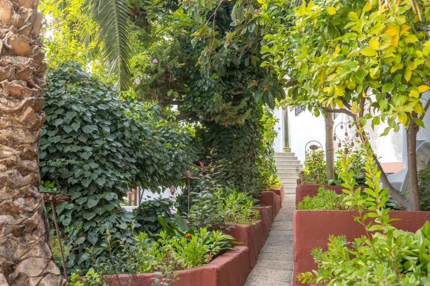 Casa El Pino Azul, Ferienhaus für 2-4 Personen - foto 19