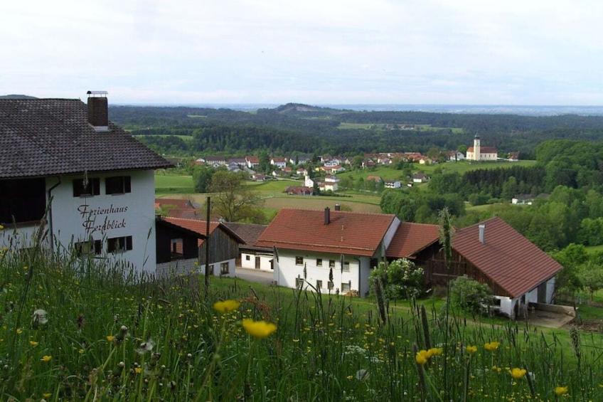 13447 - foto 3