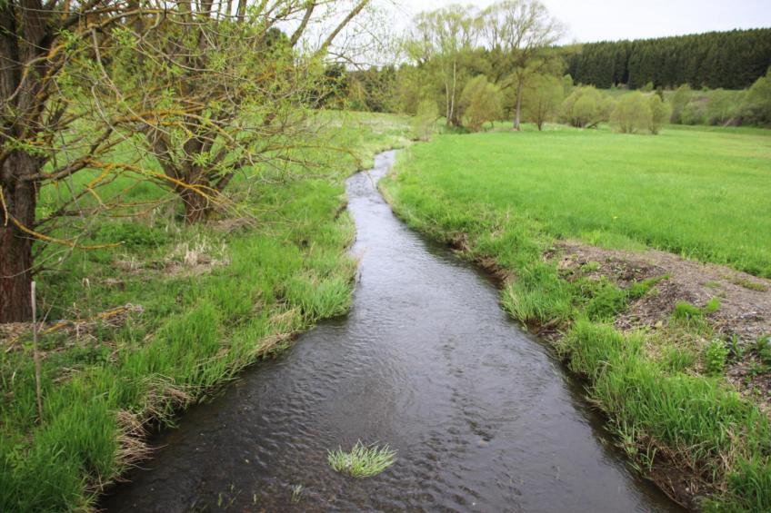 Hexenzauber I und II - foto 57
