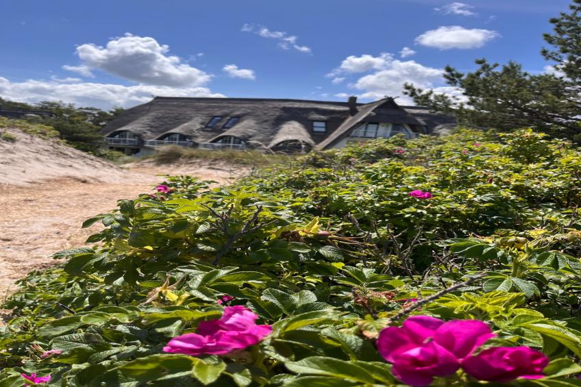 Dünenhaus - Strandhotel Dünenmeer - foto 4