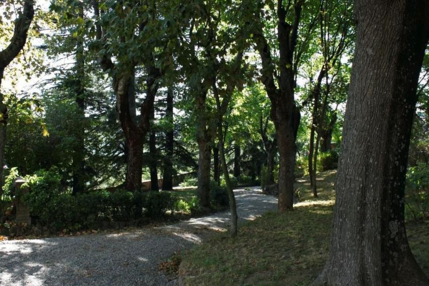 mit Gemeinschaftspool - foto 19