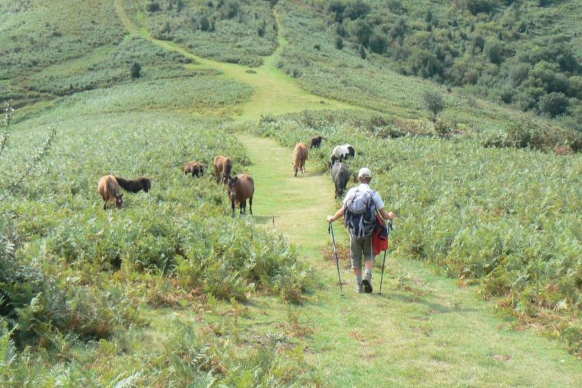 Fewo mit Terrasse - foto 27
