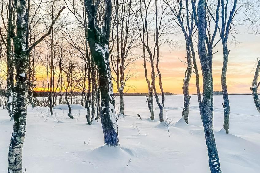 Villa rukan kesäniemi - foto 14