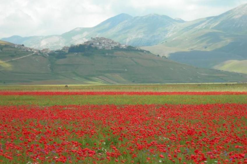 'Palazzo Bufalini - foto 30