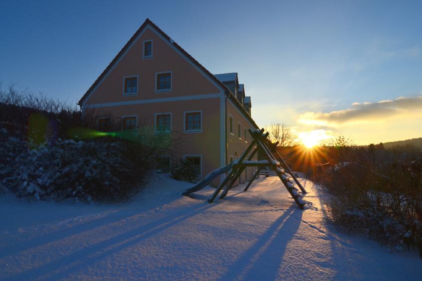 Blumenhof - Malven - foto 36