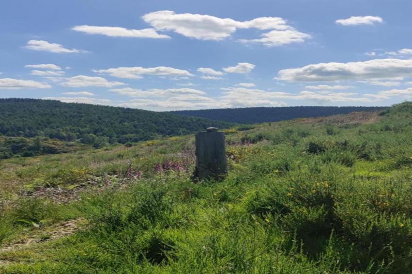 La Source des Bois - foto 21