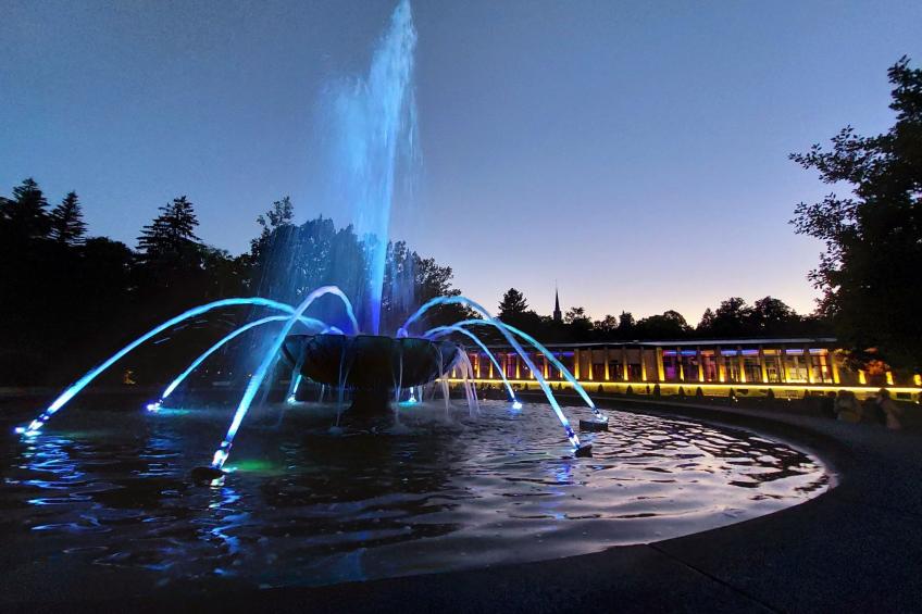 Am Wald gelegenes Ferienhaus "Wolf" mit Kamin - foto 27