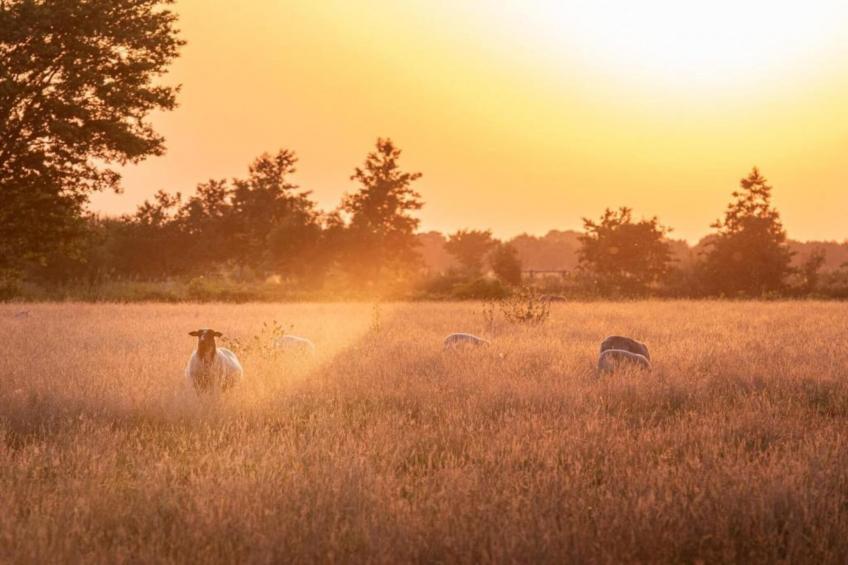 Acker Lodges 4 - foto 31