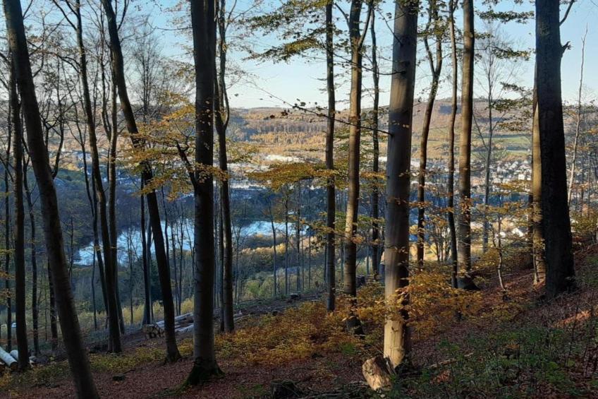 Im Ries II - foto 29