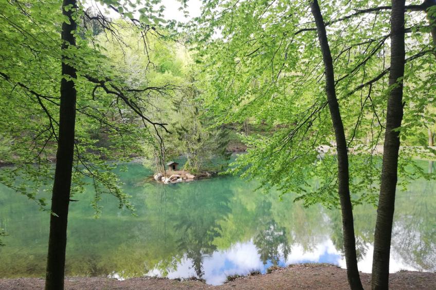 Geräumiges Ferienhaus in Holzerath mit Garten - foto 21