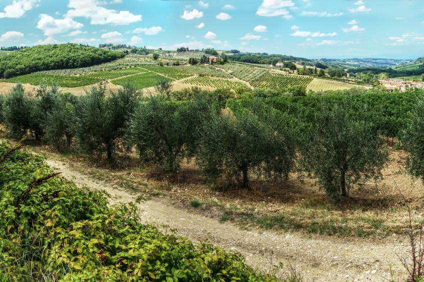 Chianti Wine Site Apt Private Balcony - foto 19