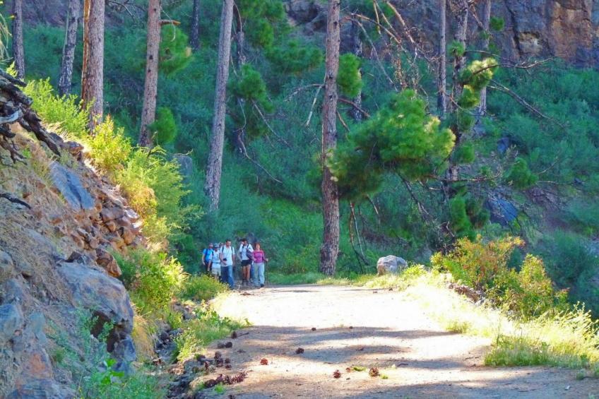 La Finca' Landhaus - foto 30