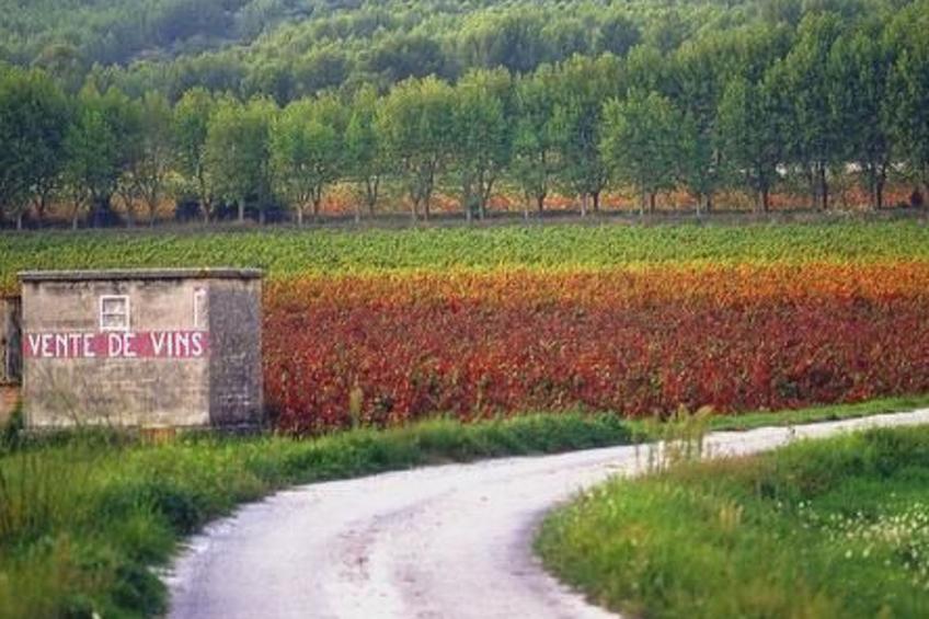 "La Cigale" mit Schwimmbad - foto 35