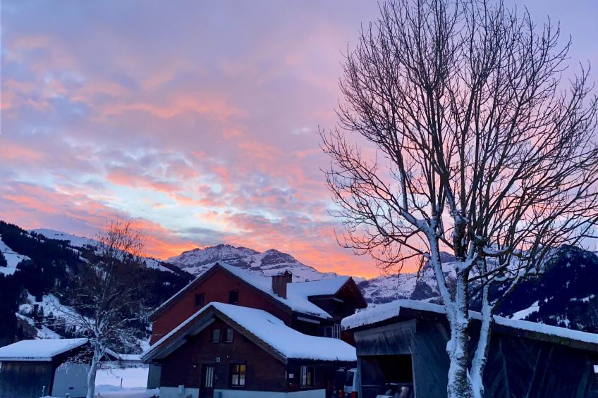 Lischenhaus 2 - Wohnung Flösch - foto 2