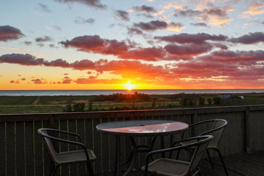 "Lilibeth" - 300m from the sea in NE Jutland - foto 25