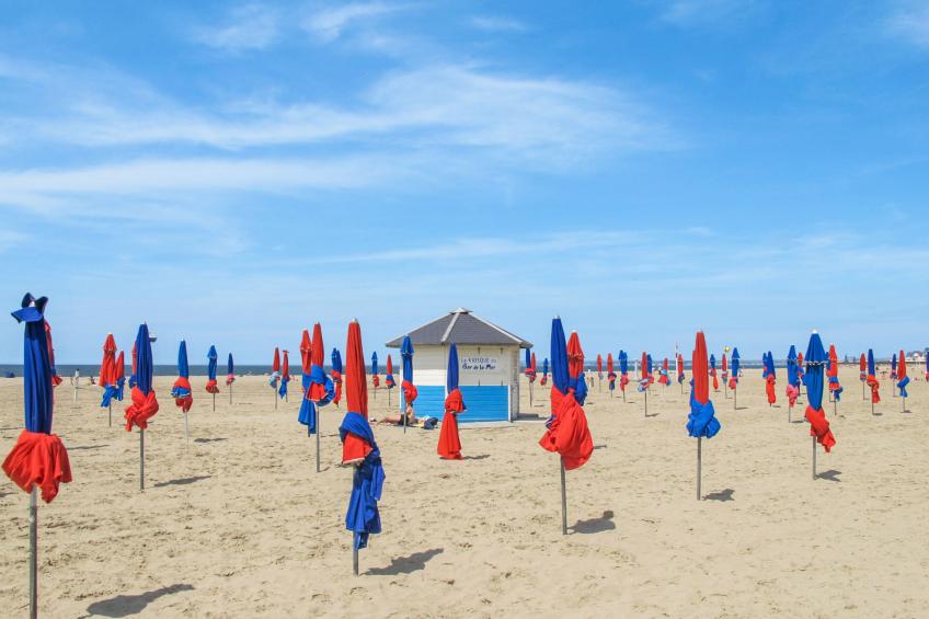 Guillaume le Conquérant - foto 27