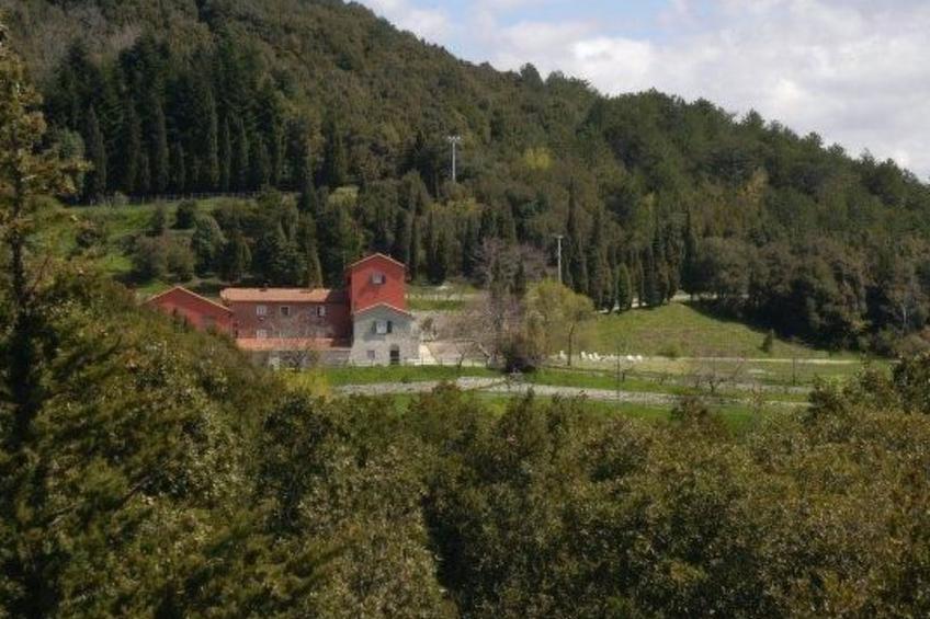 Appartement in Castiglione Chiavarese mit Garten - foto 25