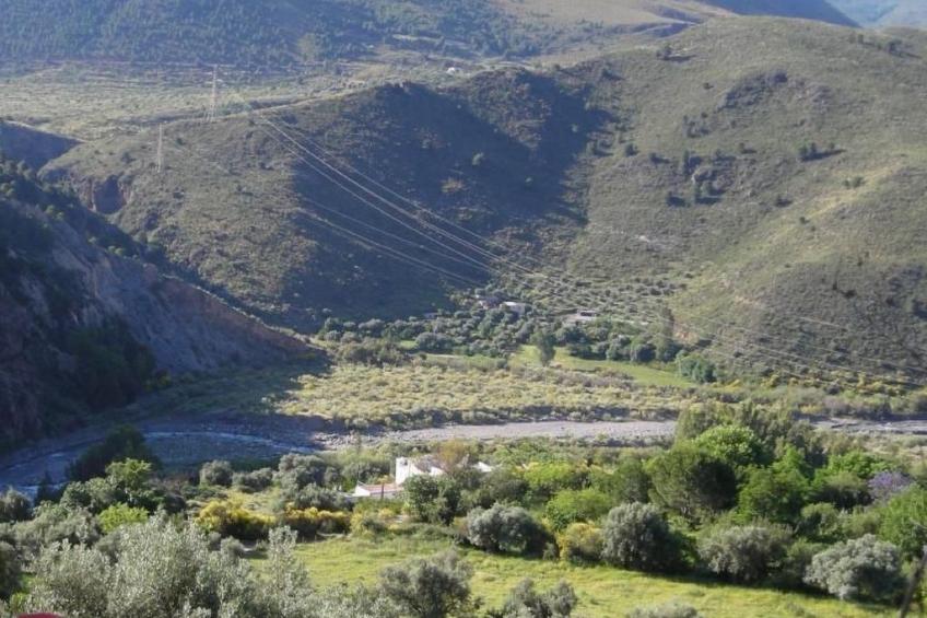 Eine Oase der Ruhe mitten in der Stadt - foto 38