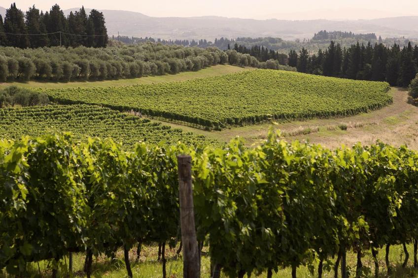 flach "Giaggioli capponi - foto 22