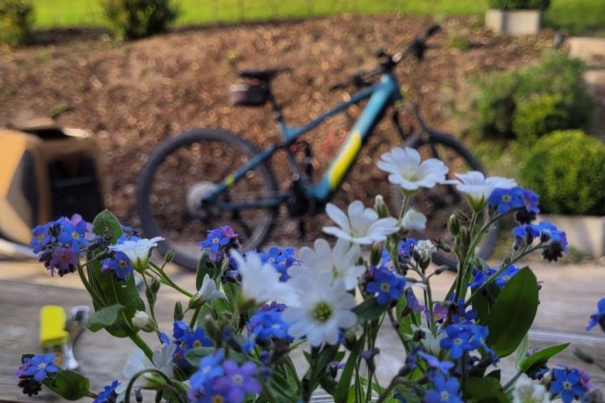 Haus Schneekopf - foto 28