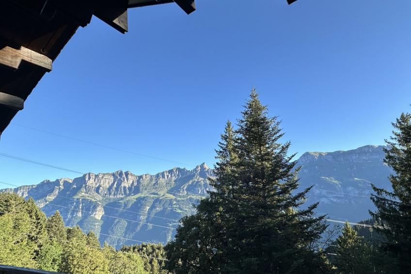 Chalet Tännli (CharmingStay), (Flumserberg Tannenbodenalp), - foto 11