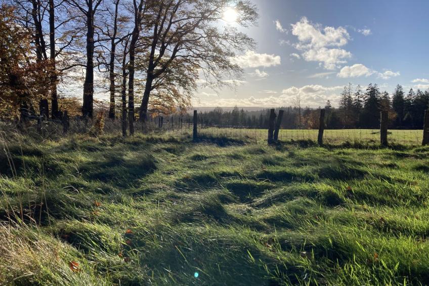 Exklusives Ferienhaus mit Terrasse und Garten - foto 44