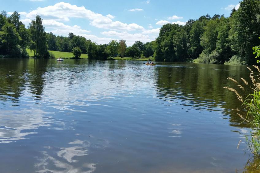 Heidebungalow - foto 34