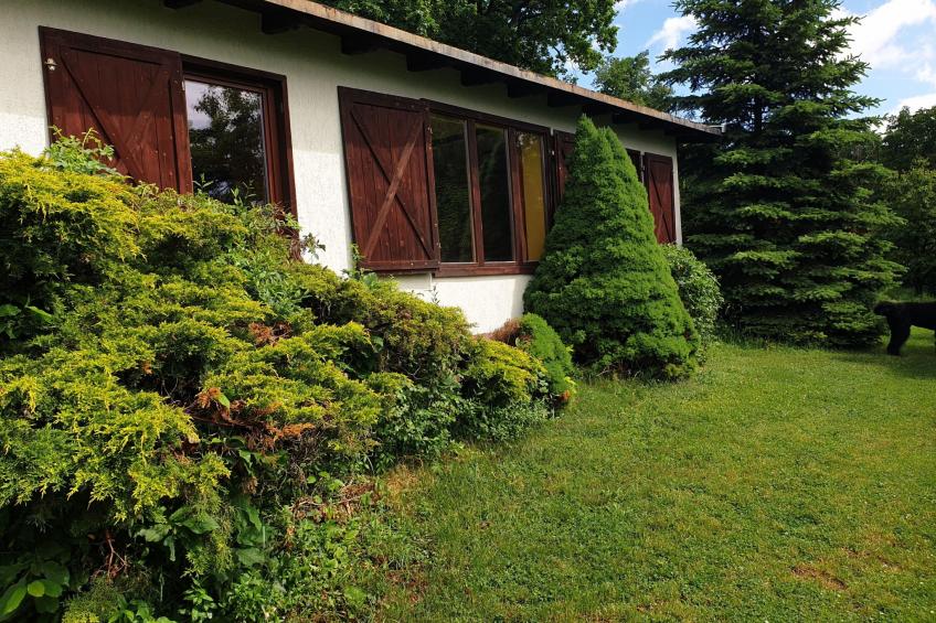 Buchengrund - foto 17