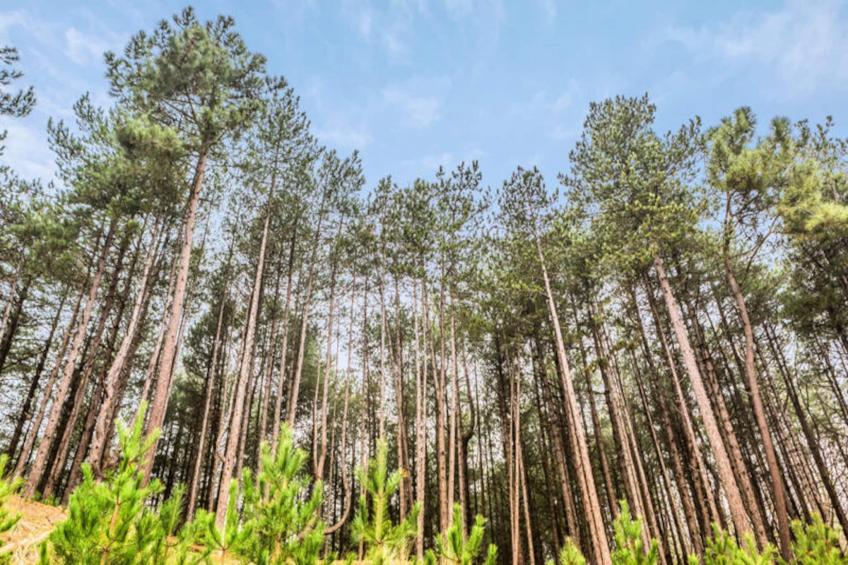 Les Maisons de Belle Dune - maeva Home - foto 18