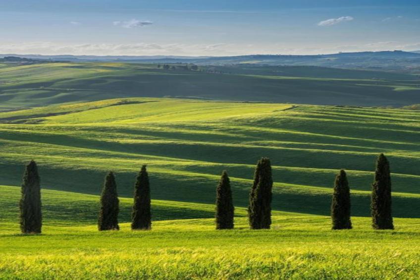 Green Eden - foto 36