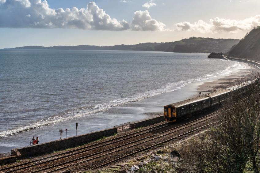 The Willows - foto 8