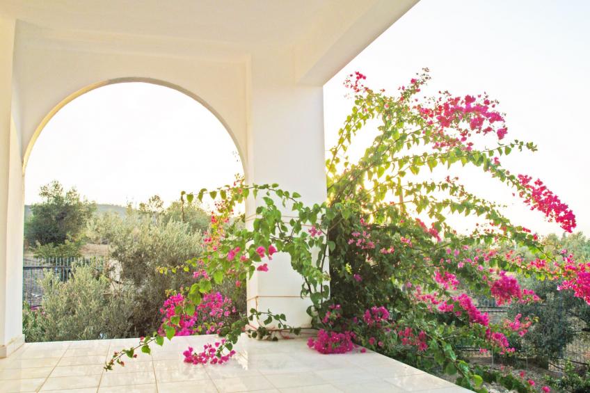 in Ermioni mit Garten, gemeinschaftlichem Pool und Terrasse - foto 8