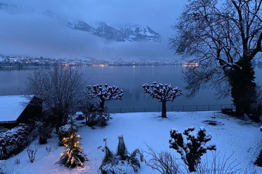 Marcello's Gartenhüsli - foto 18