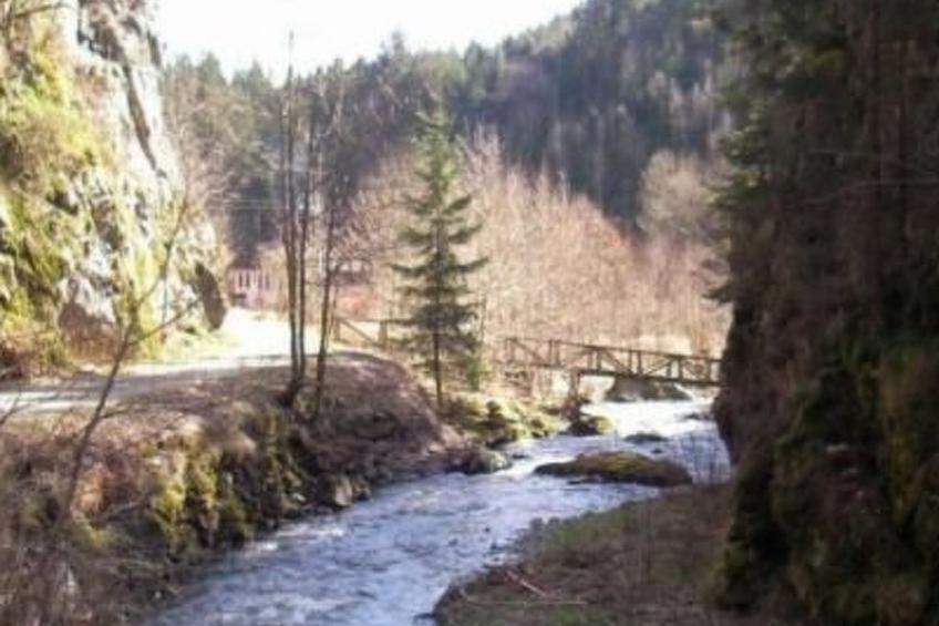 Schloß" Wildenstein" - foto 18