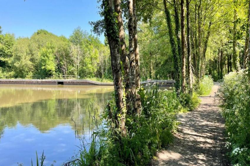 Chartwell Luxury Dome - foto 15