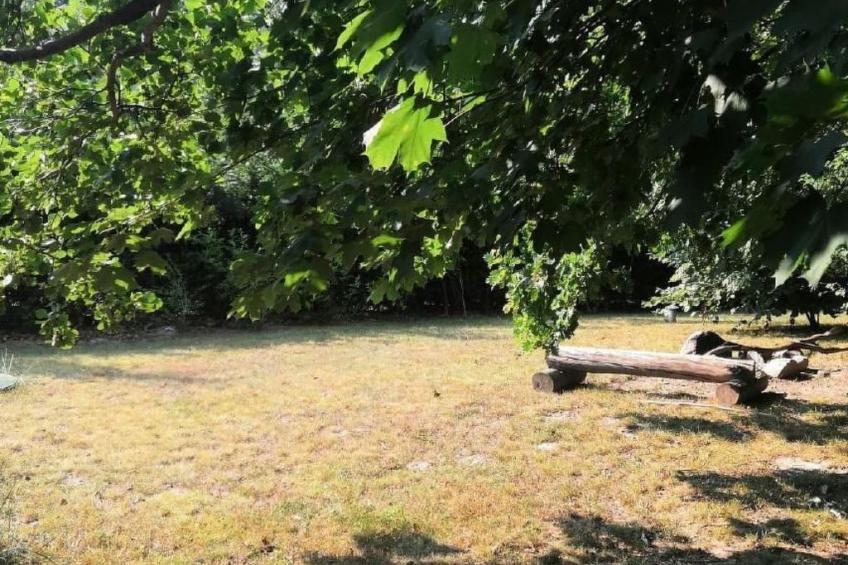 "Ferienhaus GolczaVita" - foto 17