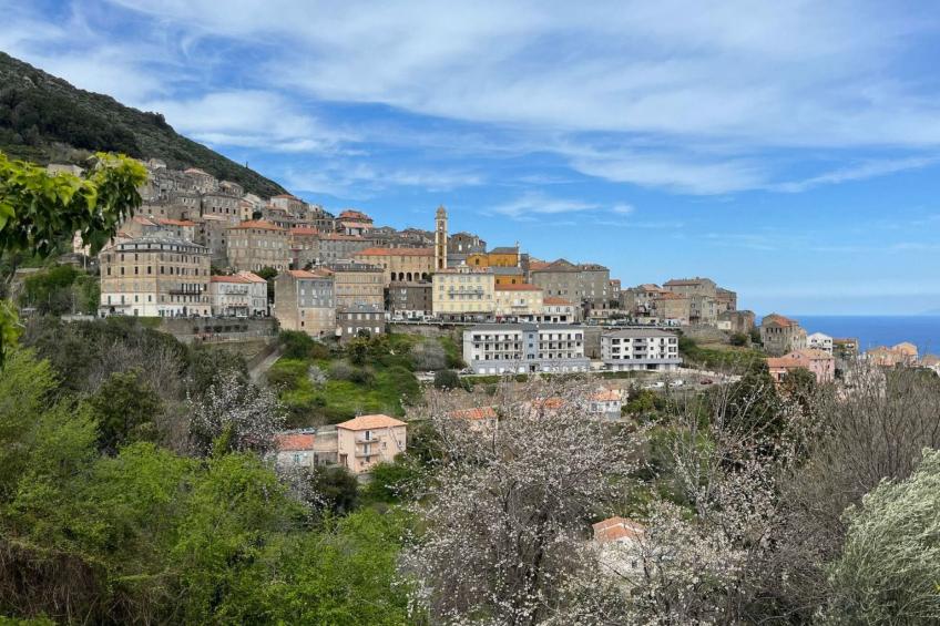 Weingut Punta della guardia zwischen Meer und Gebirge - foto 12